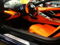leather treatment package West Side
